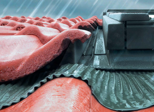 Tapajuntas Tapajuntas